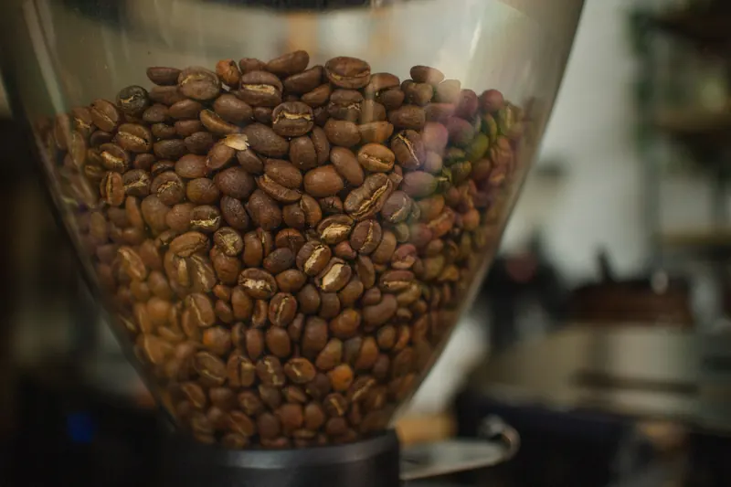 Coffee beans in a grinder hopper showcasing rich texture and aroma
