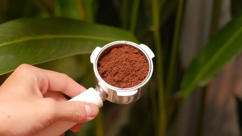 Close-up of a portafilter filled with ground coffee, surrounded by green leaves