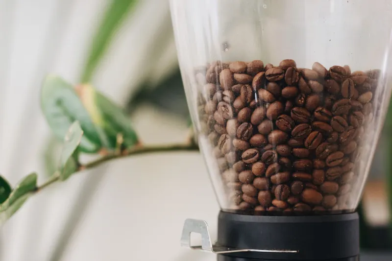 Detailed close-up of coffee beans inside a grinder hopper with a leafy background